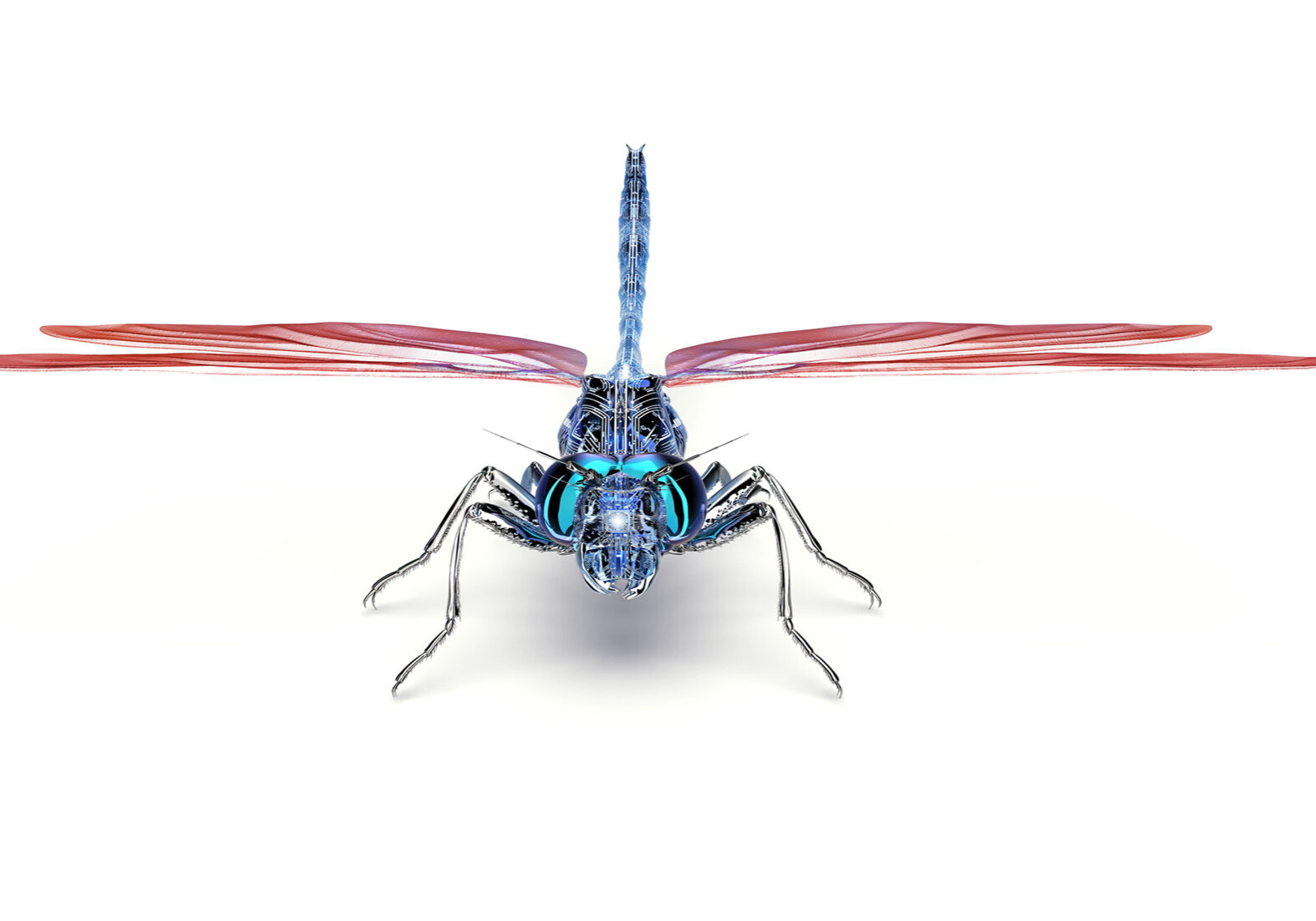 Dragonfly - Remote Audit Solution